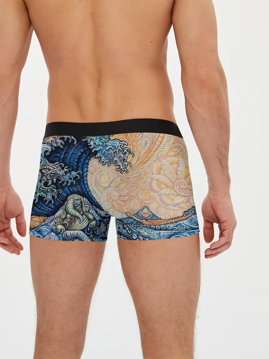 Мужские трусы боксеры / Indian Ocean psychedelics