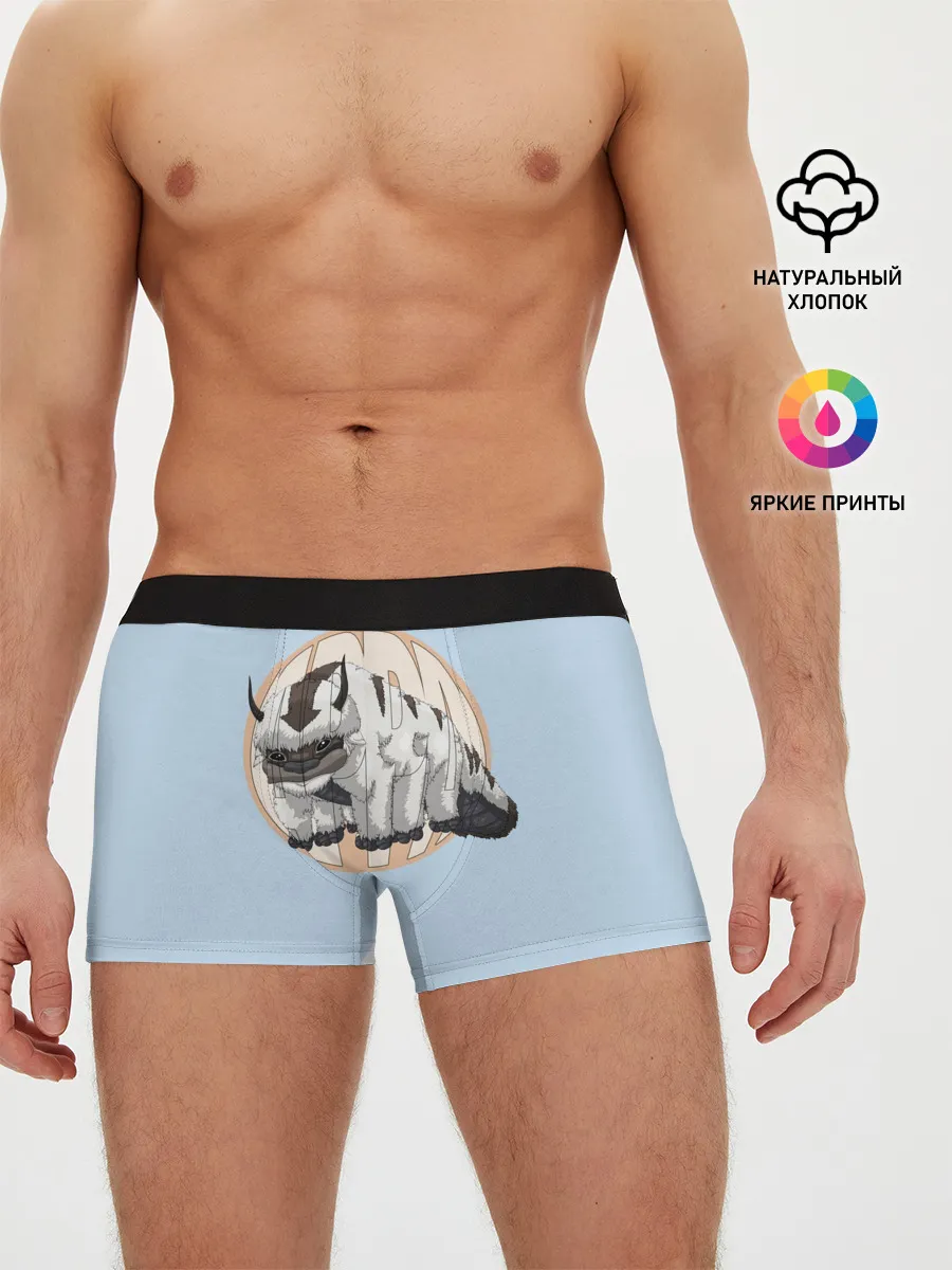 Мужские трусы боксеры / Appa