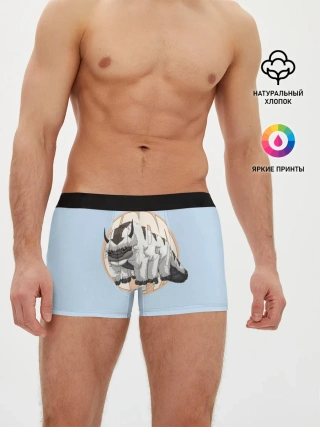 Мужские трусы боксеры / Appa
