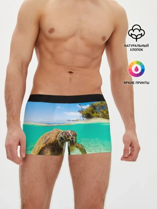 Мужские трусы боксеры / Морская черепашка