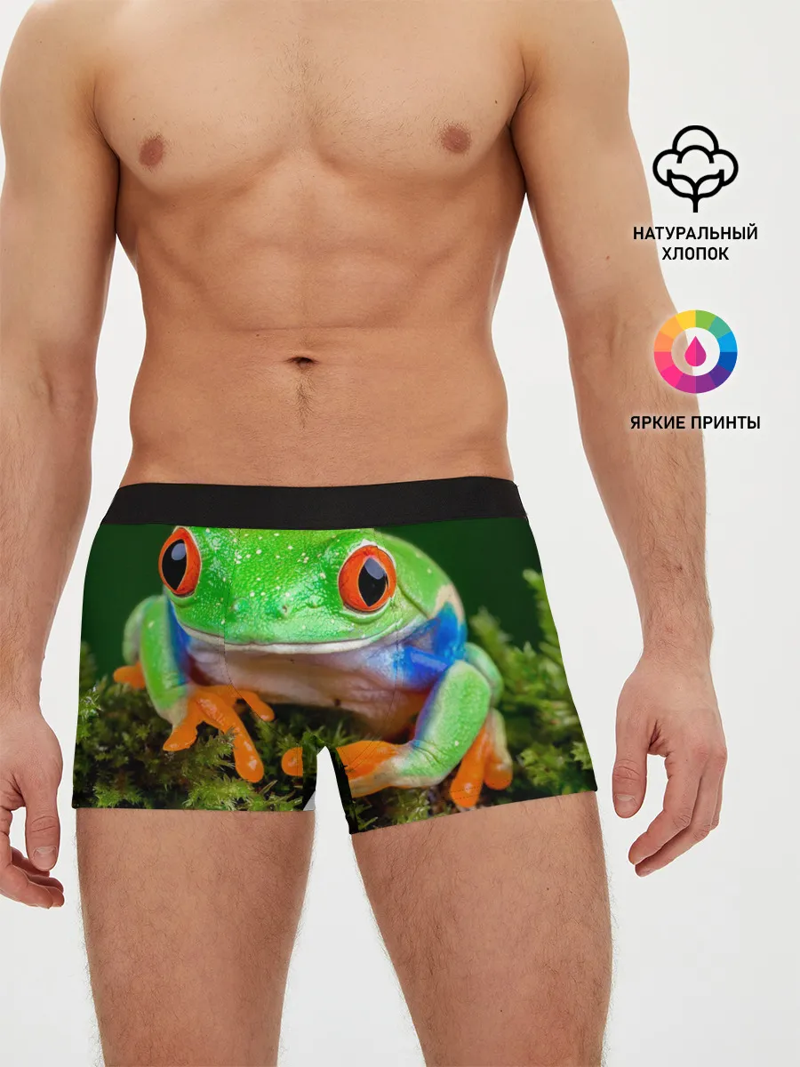 Мужские трусы боксеры / Тропическая лягушка