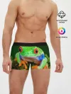 Мужские трусы боксеры / Тропическая лягушка