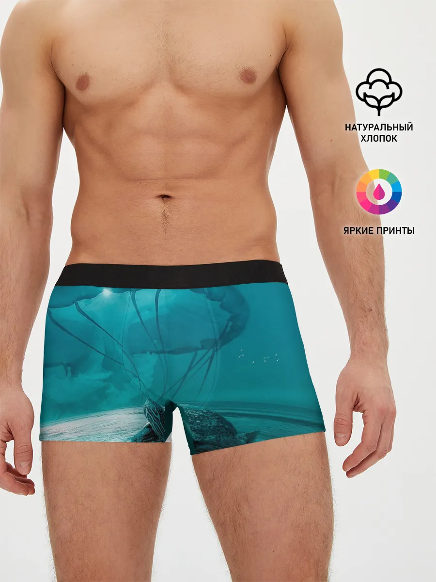 Мужские трусы боксеры / Медуза и черепаха