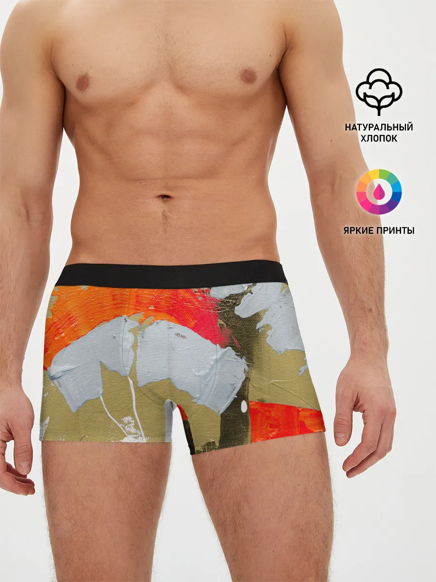 Мужские трусы боксеры / Art Abstraction