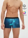 Мужские трусы боксеры / ЗВЕЗДНЫЙ КИТ | STAR WHALE