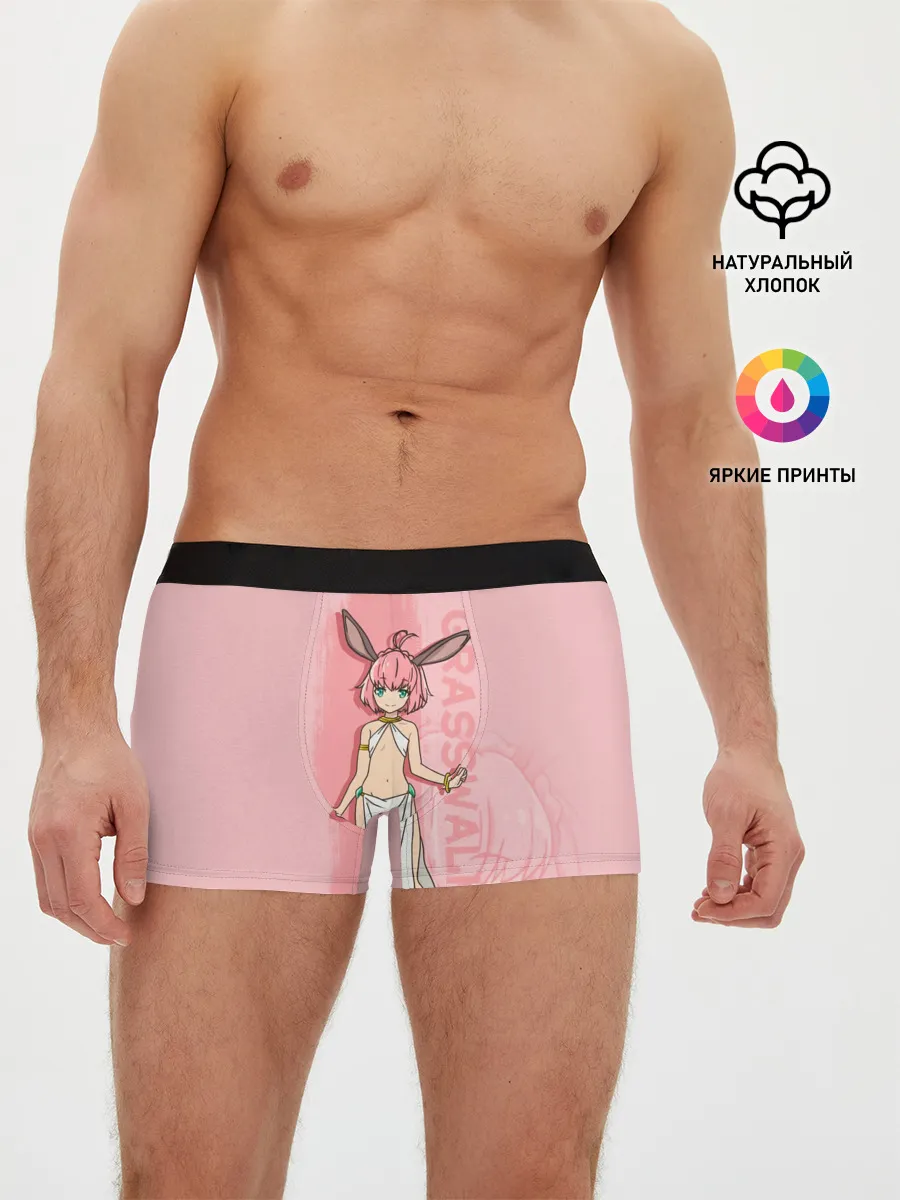 Мужские трусы боксеры / Grasswalker