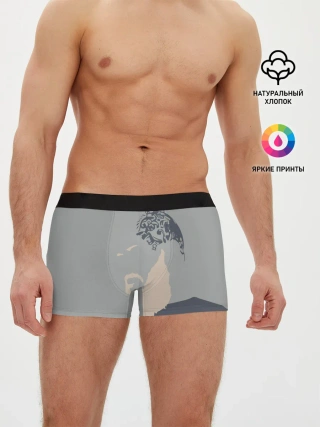 Мужские трусы боксеры / Рагнар Лодброк