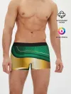 Мужские трусы боксеры / GREEN GOLD 3D