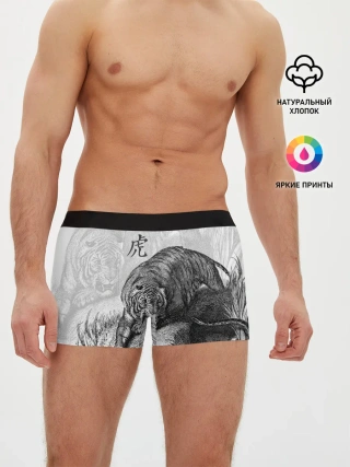 Мужские трусы боксеры / Тигр и змея