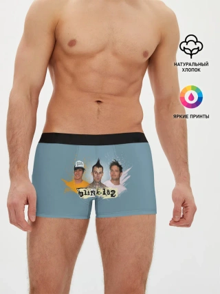 Мужские трусы боксеры / Blink 182