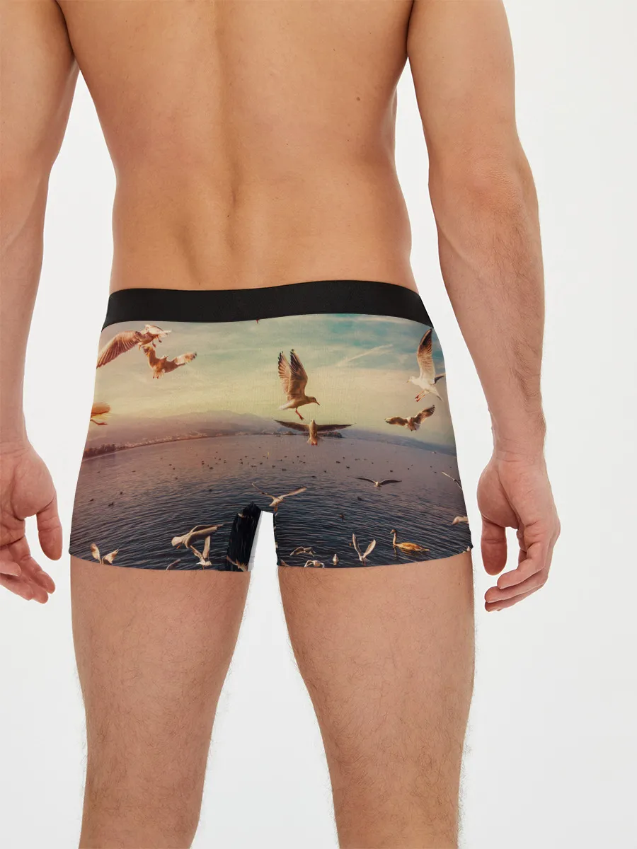 Мужские трусы боксеры / Чайки на воде