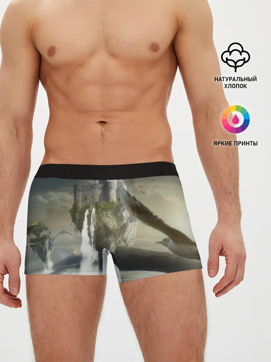 Мужские трусы боксеры / Парящий замак