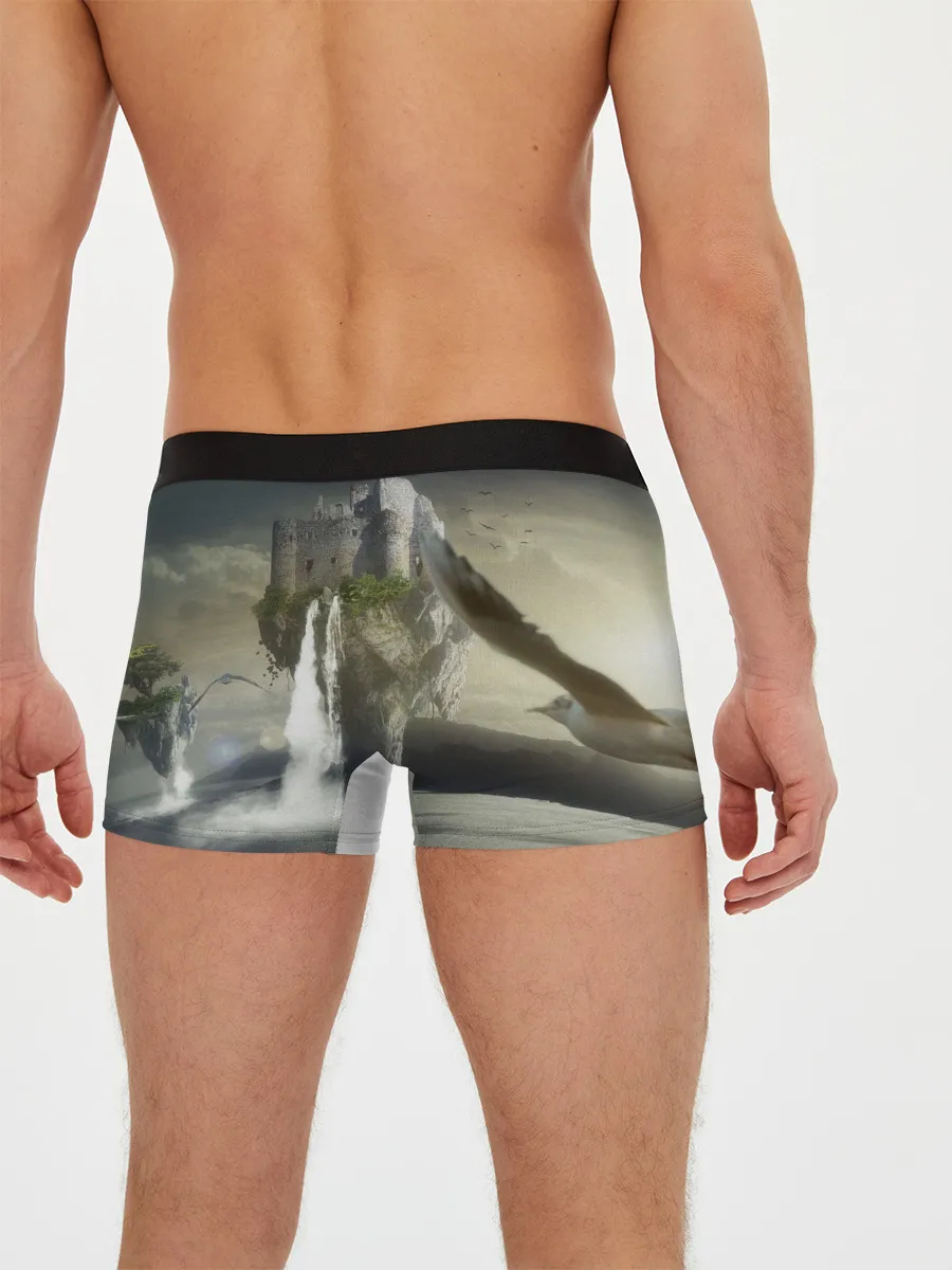 Мужские трусы боксеры / Парящий замак