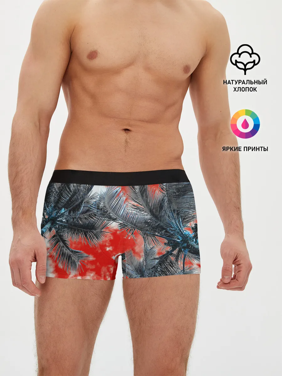 Мужские трусы боксеры / Tropics Inverted