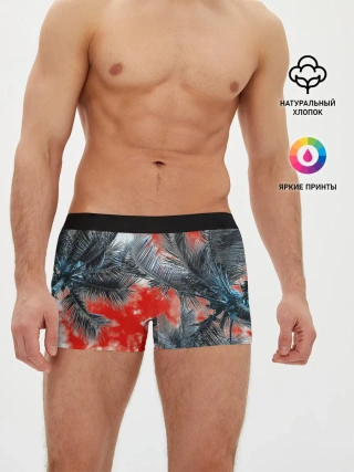 Мужские трусы боксеры / Tropics Inverted