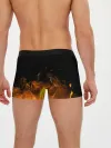 Мужские трусы боксеры / Секре Сваллотейл в огне Неро