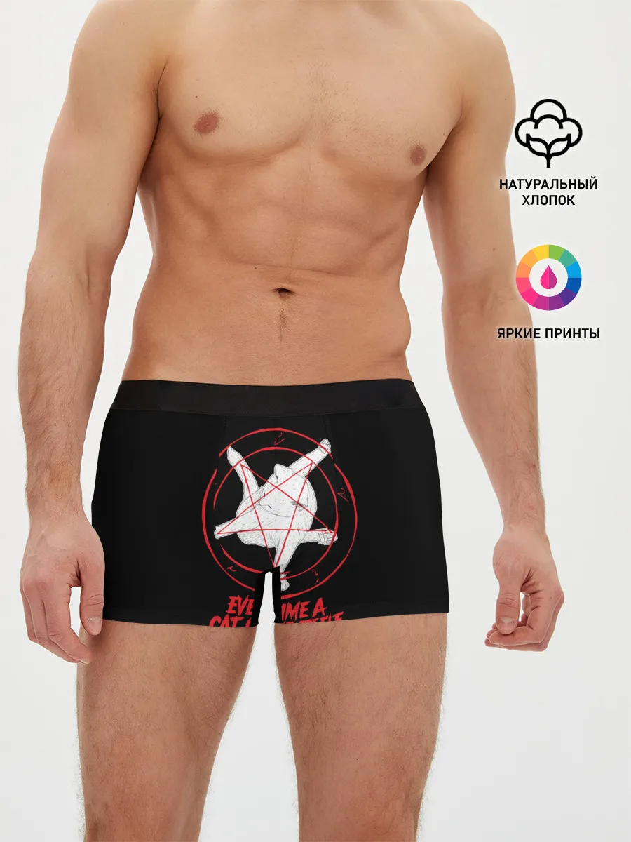 Мужские трусы боксеры / КОТ САТАНЫ