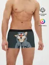 Мужские трусы боксеры / Furry fox