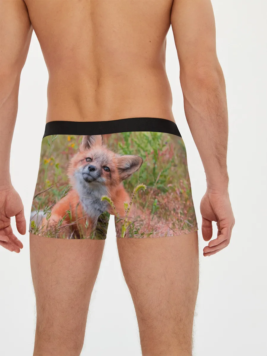 Мужские трусы боксеры / Лисичка