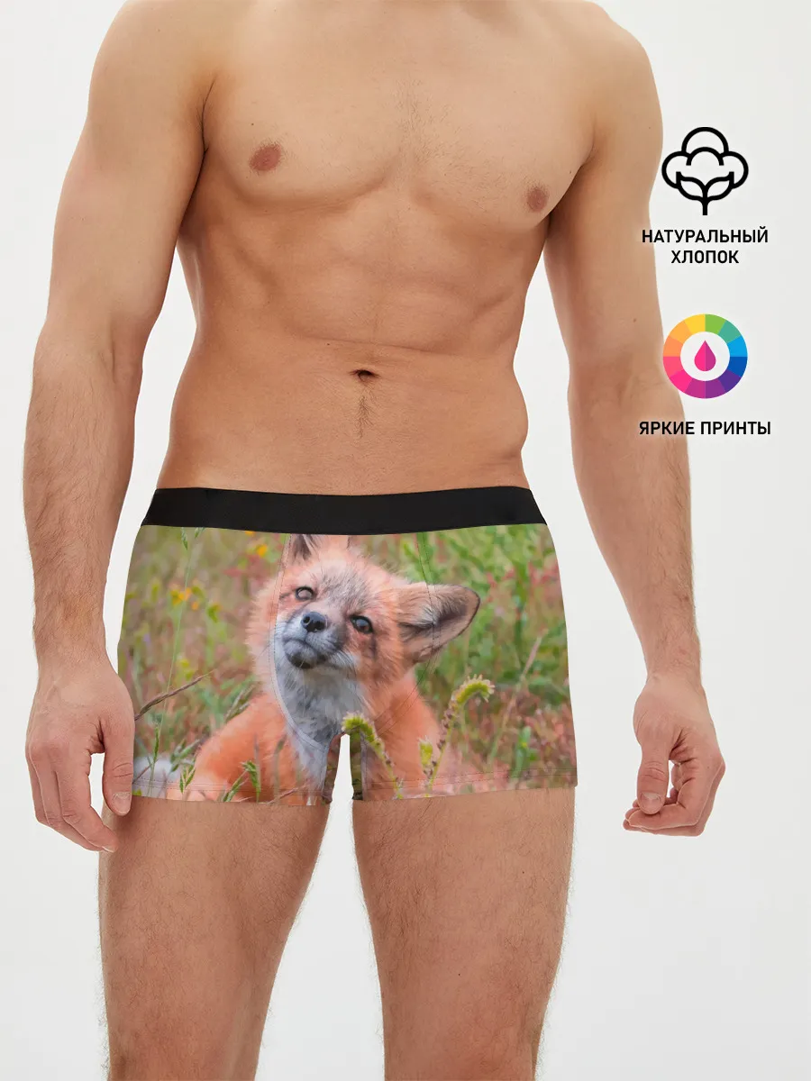 Мужские трусы боксеры / Лисичка