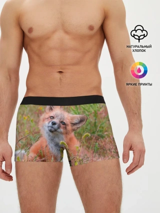 Мужские трусы боксеры / Лисичка