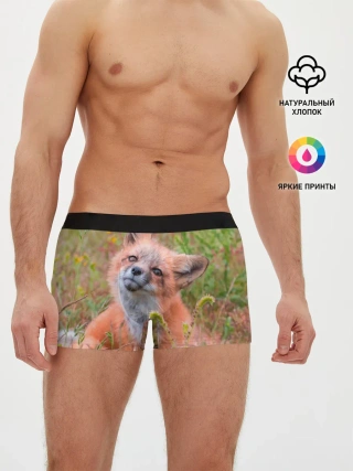 Мужские трусы боксеры / Лисичка