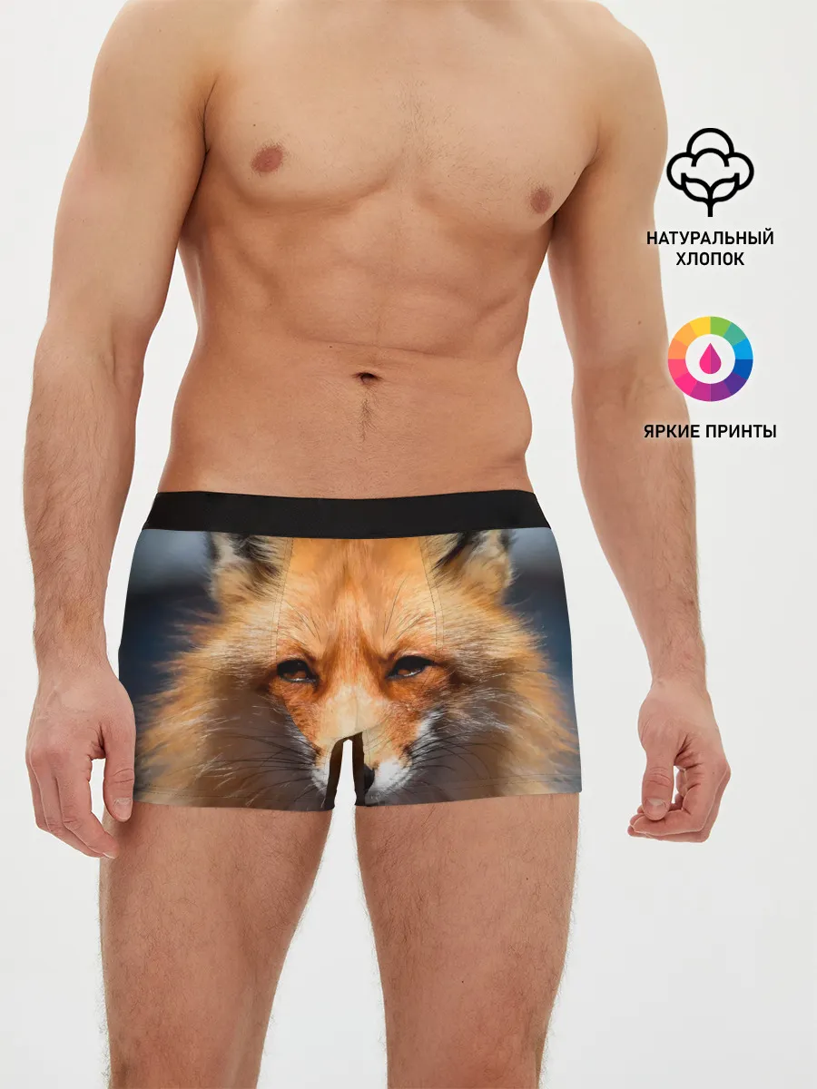 Мужские трусы боксеры / Хитрая лисица
