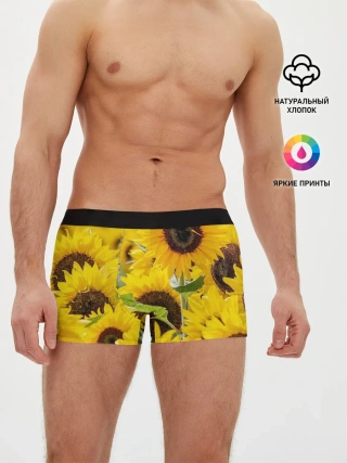 Мужские трусы боксеры / Лето