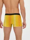 Мужские трусы боксеры / Желтая чешуя