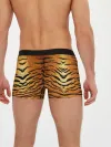 Мужские трусы боксеры / Шкура Тигра