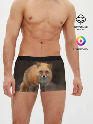 Мужские трусы боксеры / Хитрая лисица