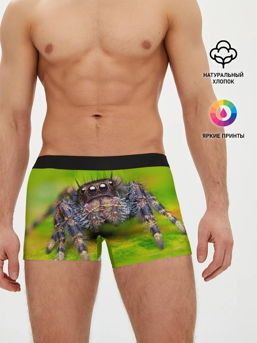 Мужские трусы боксеры / ПАУК МАКРО