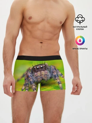 Мужские трусы боксеры / ПАУК МАКРО
