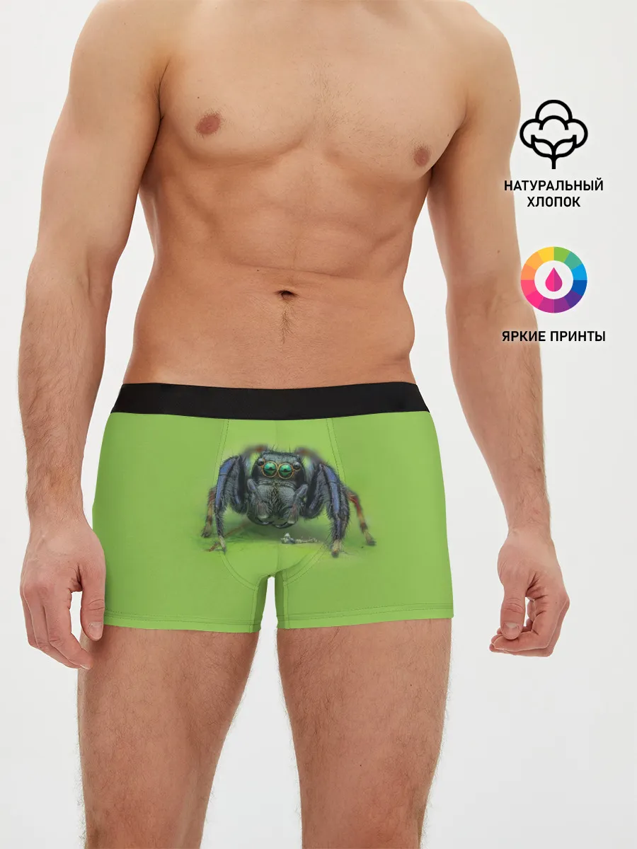 Мужские трусы боксеры / ПАУК С ГЛАЗКАМИ