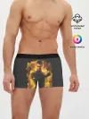 Мужские трусы боксеры / Jensen in fire