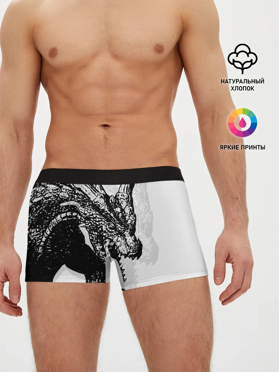 Мужские трусы боксеры / Dragon