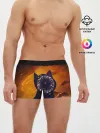 Мужские трусы боксеры / Космический кот | Space Cat