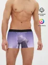 Мужские трусы боксеры / Для тебя бессмертный