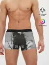 Мужские трусы боксеры / STALKER 2