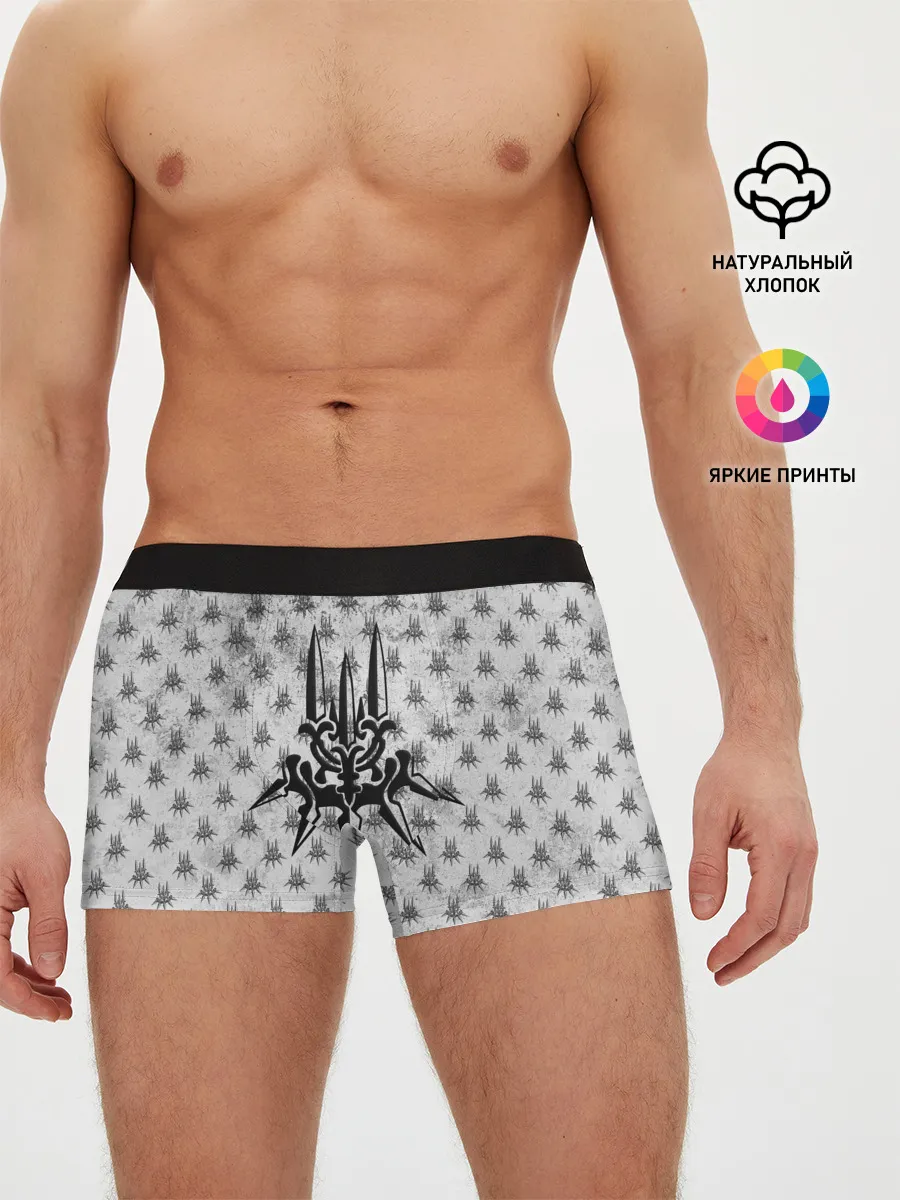 Мужские трусы боксеры / Nier Automata | Герб