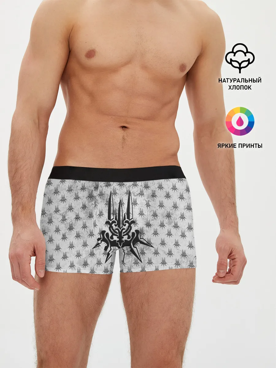 Мужские трусы боксеры / Nier Automata | Герб