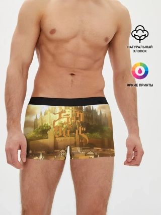 Мужские трусы боксеры / Чёрный клевер город
