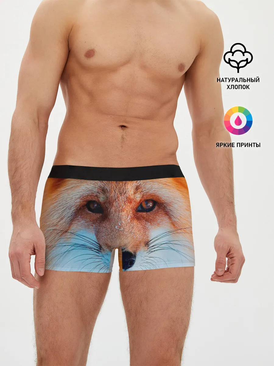 Мужские трусы боксеры / Мордочка лисы