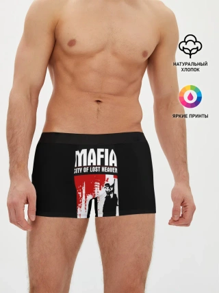 Мужские трусы боксеры / City of lost haven