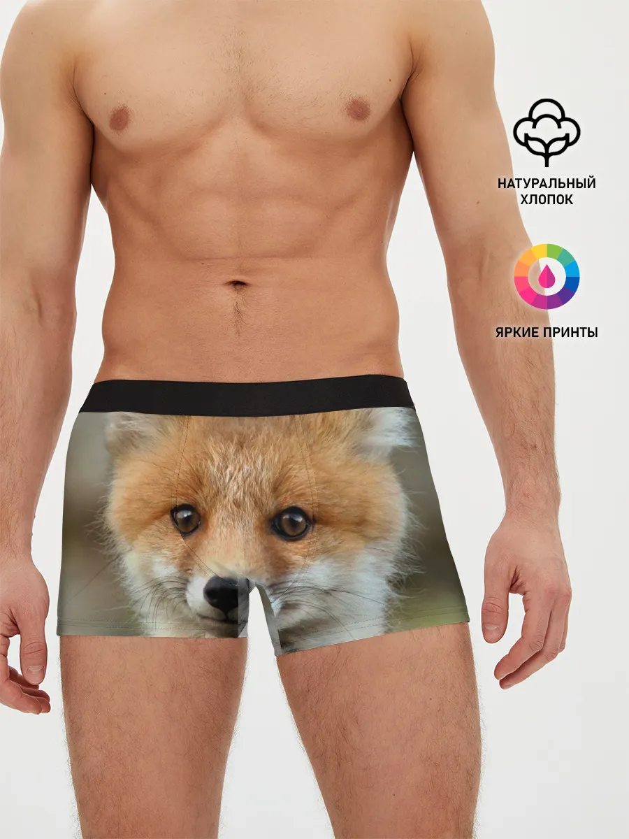 Мужские трусы боксеры / Миленький лисенок