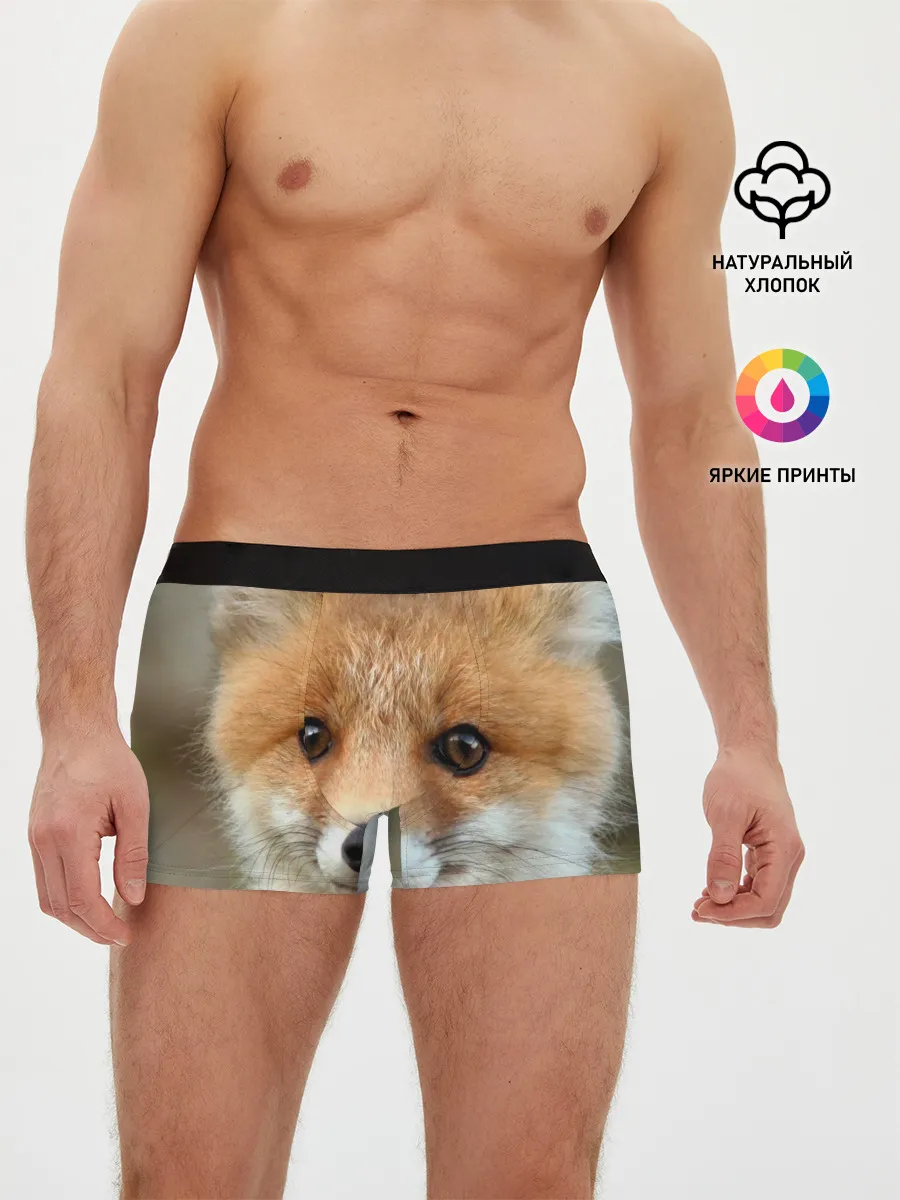 Мужские трусы боксеры / Миленький лисенок