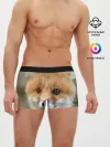Мужские трусы боксеры / Миленький лисенок