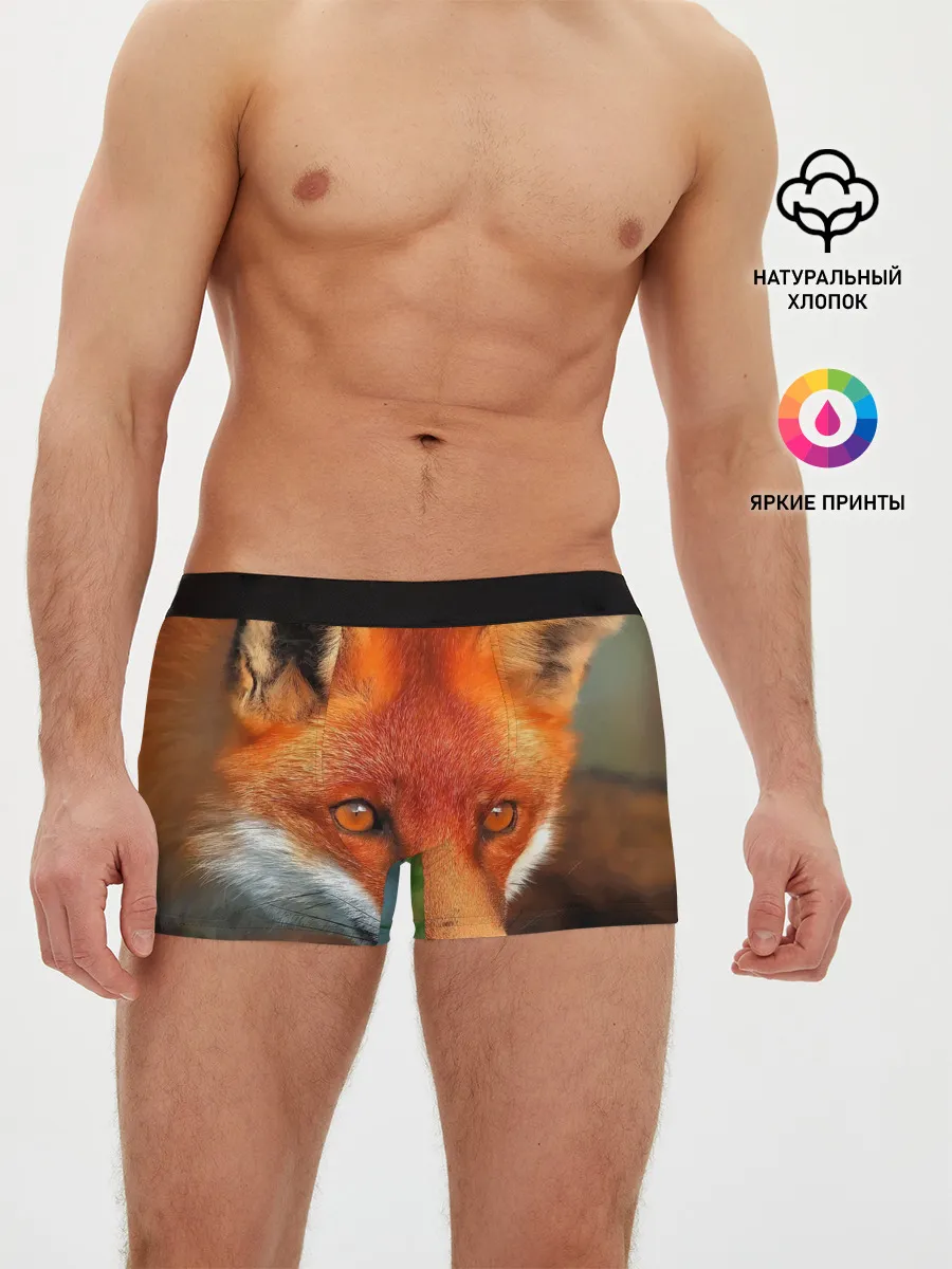 Мужские трусы боксеры / Лисица охотница