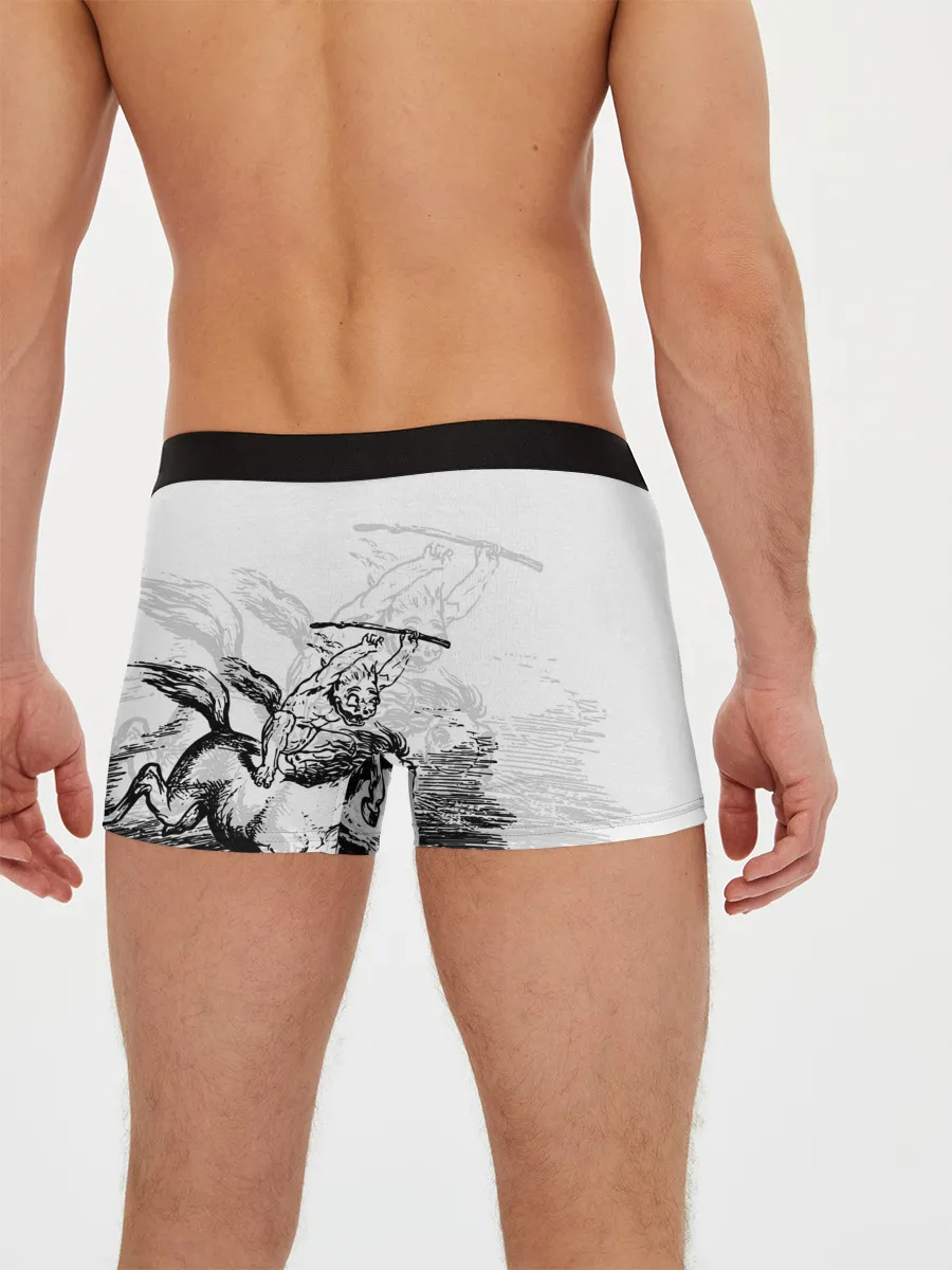 Мужские трусы боксеры / A demon on a horse