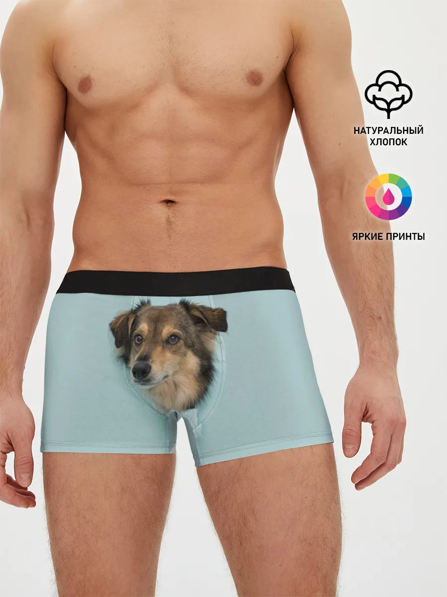 Мужские трусы боксеры / Беспородная Собака дворняга / A Dog